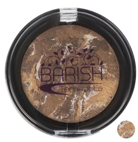 رژگونه تراکوتا باریش مدل Silkytouch شماره 202