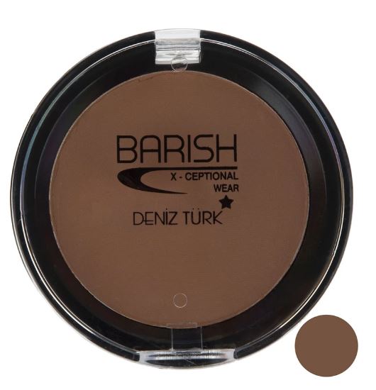 رژگونه باریش مدل Helty skin شماره 501