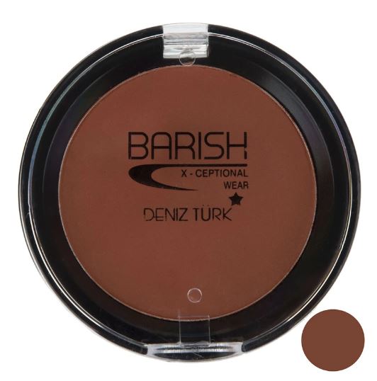 رژگونه باریش مدل Helty skin شماره 506